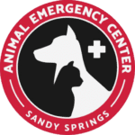 Emergency Veterinary Care in Sandy Springs, GA — Animal Emergency of ...