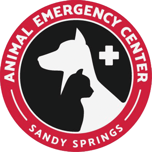 Emergency Veterinary Care in Sandy Springs, GA — Animal Emergency of Sandy  Springs